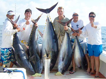 Large tuna caught at Puerto Vallarta, Mexico.