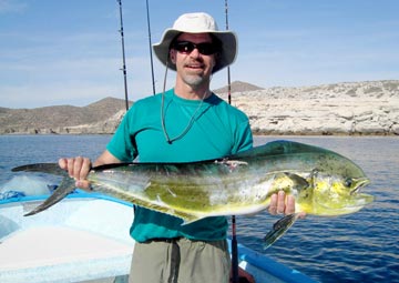 Winter dorado caught at La Paz, Mexico.
