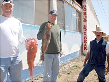 Cowcod and lingcod caught at San Quintin