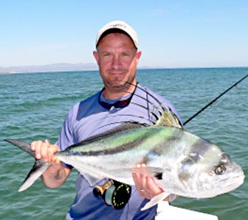 Roosterfish caught on the fly at East Cape