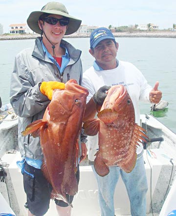 Gulf coney caught at Mazatlan