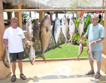 Fish catch at San Jose del Cabo.