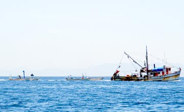 Mexican commercial fishing panga mothership