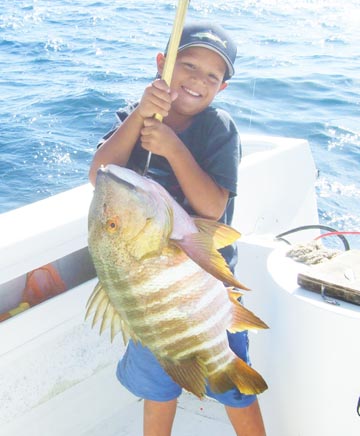 Large barred pargo caught at San Jose del Cabo