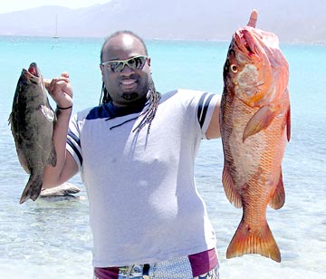 Cabrilla and dog snapper caught at La Paz