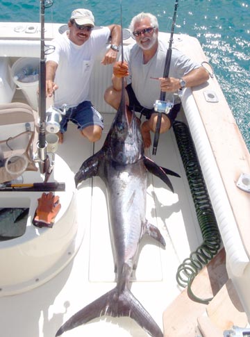 Broadbill swordfish caught at East Cape, Baja California Sur, Mexico