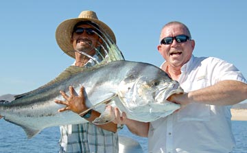 Large roosterfish caught at La Paz