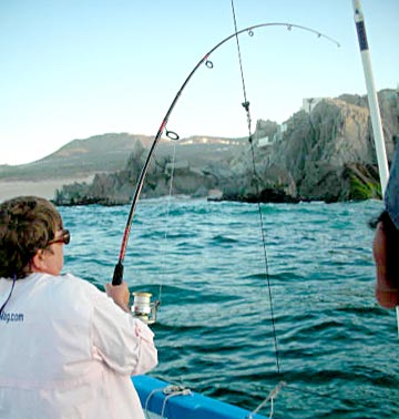 Snook fishing at Cabo San Lucas 2