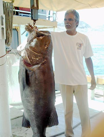 Grouper caught at Isla Angel de la Guarda
