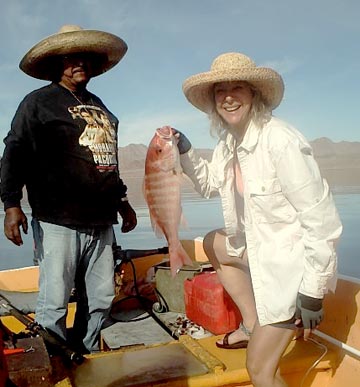 Red snapper caught at the Midriff islands