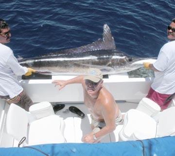 Marlin release at East Cape