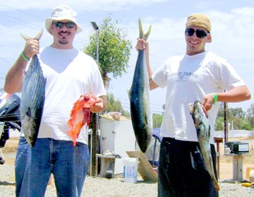 Mixed species panga fishing catch at Ensenada, Mexico