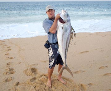 Surf caught roosterfish at Cabo San Lucas
