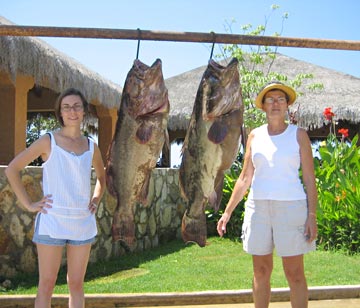 Two gulf grouper caught at San Jose del Cabo