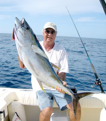 Yellowfin tuna caught at San Jose del Cabo