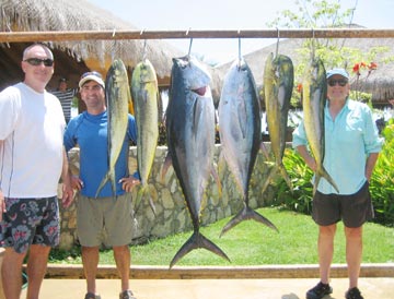 Tuna and dorado caught at San Jose del Cabo
