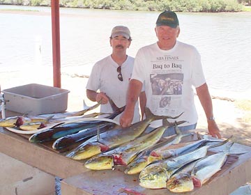 Mulege Fish Photo 1