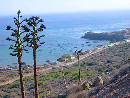 Photo of Puerto Santo Tomas, Baja California, Mexico.