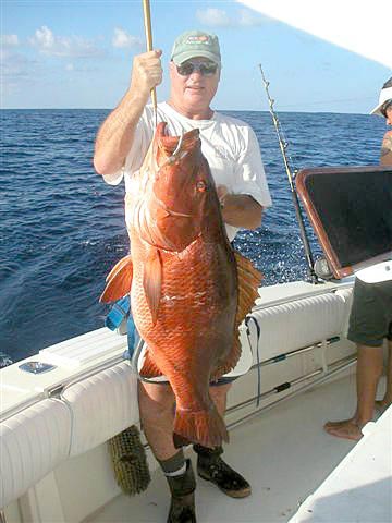 Tinknocker Fish Photo 1