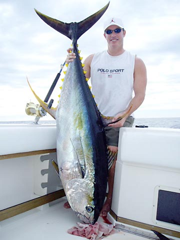 Tuna Photo 1