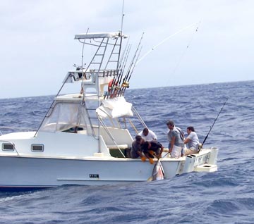 Marla's Sportfishing boat Arca de Noe Photo