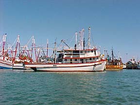 Celia Angelina at Puerto Peñasco, Sonora, Mexico.