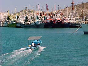 Commercial shrimp boats at Puerto Peñasco, Sonora, Mexico.