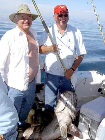 Photo of Rocky Point black sea bass