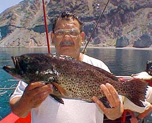 Cabrilla caught by San Felipe panga mothership Celia Angelina at Isla San Lorenzo.