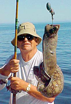 Eel caught aboard San Felipe panga mothership, Celia Angelina.