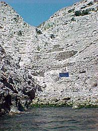 Cliffs at Isla San Pedro Martir.
