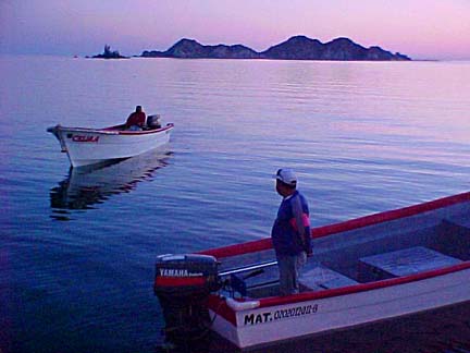 Pangas fishing at Puerto Refugio, Sea of Cortez, Mexico.