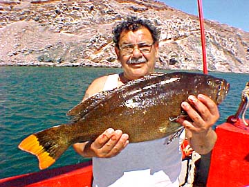 Bob Castellon and golden grouper aboard San Felipe panga mothership, Celia Angelina.