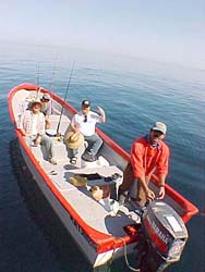 Sportfishing by pangas, San Felipe panga mothership Celia Angelina.