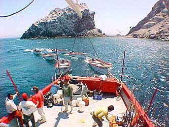 Towing pangas, San Felipe panga mothership Celia Angelina at Isla San Pedro Martir.