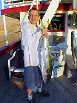 Yellowtail caught aboard San Felipe panga mothership Celia Angelina.