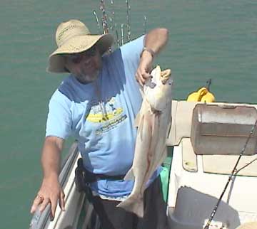 San Felipe Fishing Photo 3