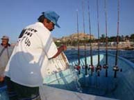 Photo 4 fishing at San Jose del Cabo, Mexico.
