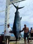 Photo 25 fishing at San Jose del Cabo, Mexico.