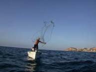 Photo 27 fishing at San Jose del Cabo, Mexico.