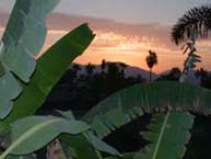 Photo 10 of the La Playita Inn, San Jose del Cabo, Mexico.