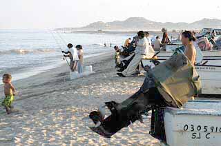 San Jose del Cabo Fishing Photo 3