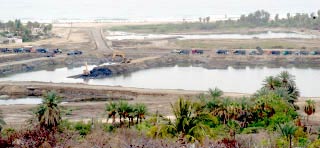 Puerto Los Cabos marina construction 1