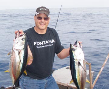 Yellowfin tuna caught at San Quintin, Mexico.