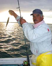 Photo of Capt. Hector "Lilo" Villavicencio fishing at San Quintin, Mexico.