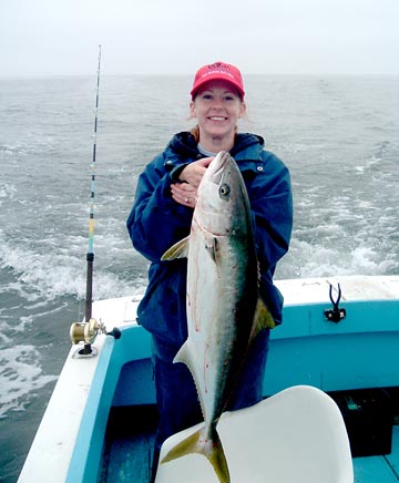 Yellowtail caught at San Quintin