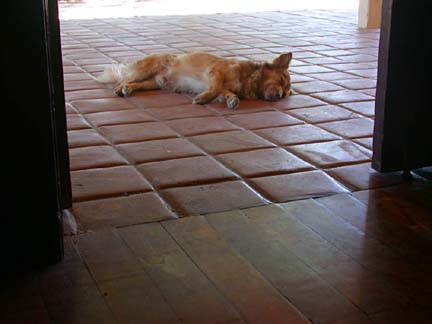 Photo of doorway, Hotel Frances, Santa Rosalia, Mexico.