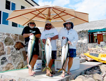 Fish caught at Santa Rosalia, Mexico.