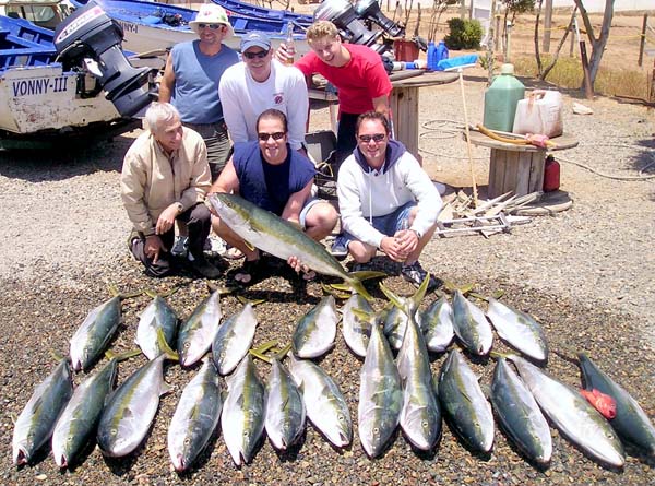 Big Vonny's Fleet yellowtail catch at Ensenada.