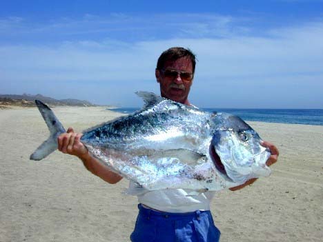 African Pompano fish pictures